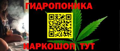 каннабис Новозыбков