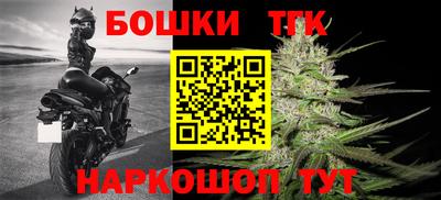 прущие грибы Новодвинск