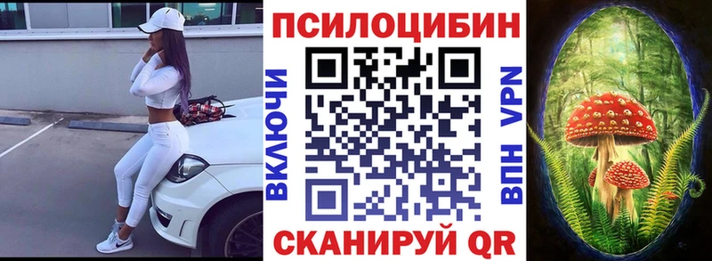 даркнет сайт  Фрязино  Псилоцибиновые грибы Psilocybe 