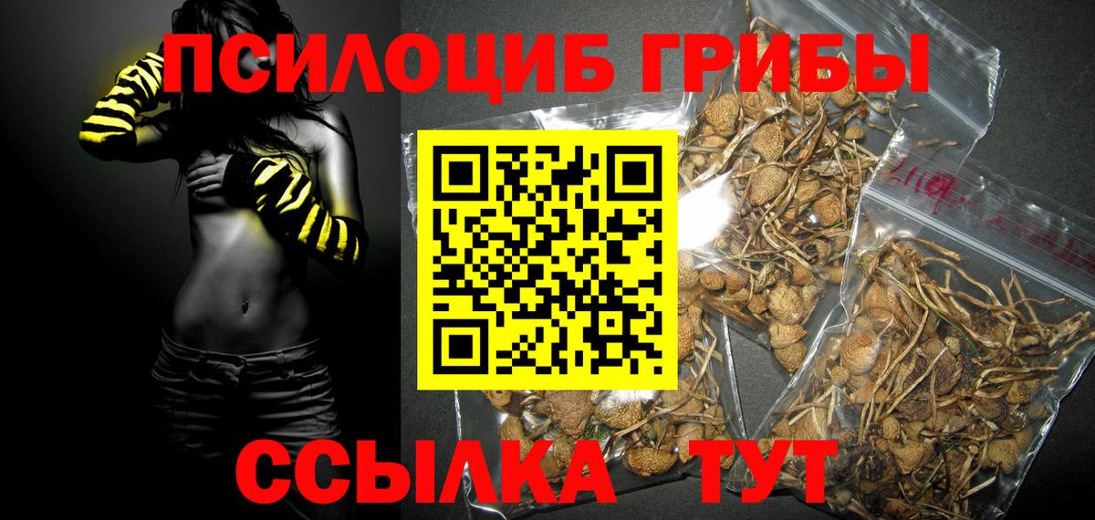 Фрязино  Псилоцибиновые грибы ЛСД  Вход с VPN 
